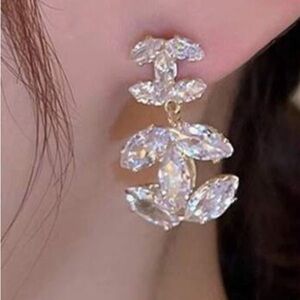 Elegant fashion earrings